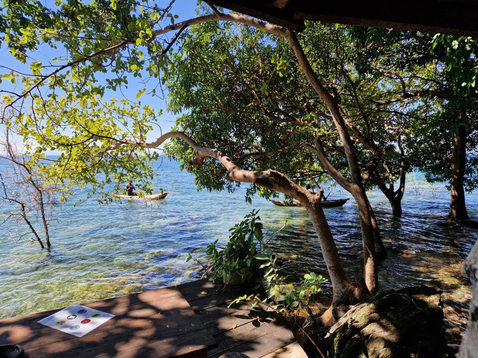 Butterfly Space- A Non-Profit Eco-Lodge Nkhata Bay Εξωτερικό φωτογραφία