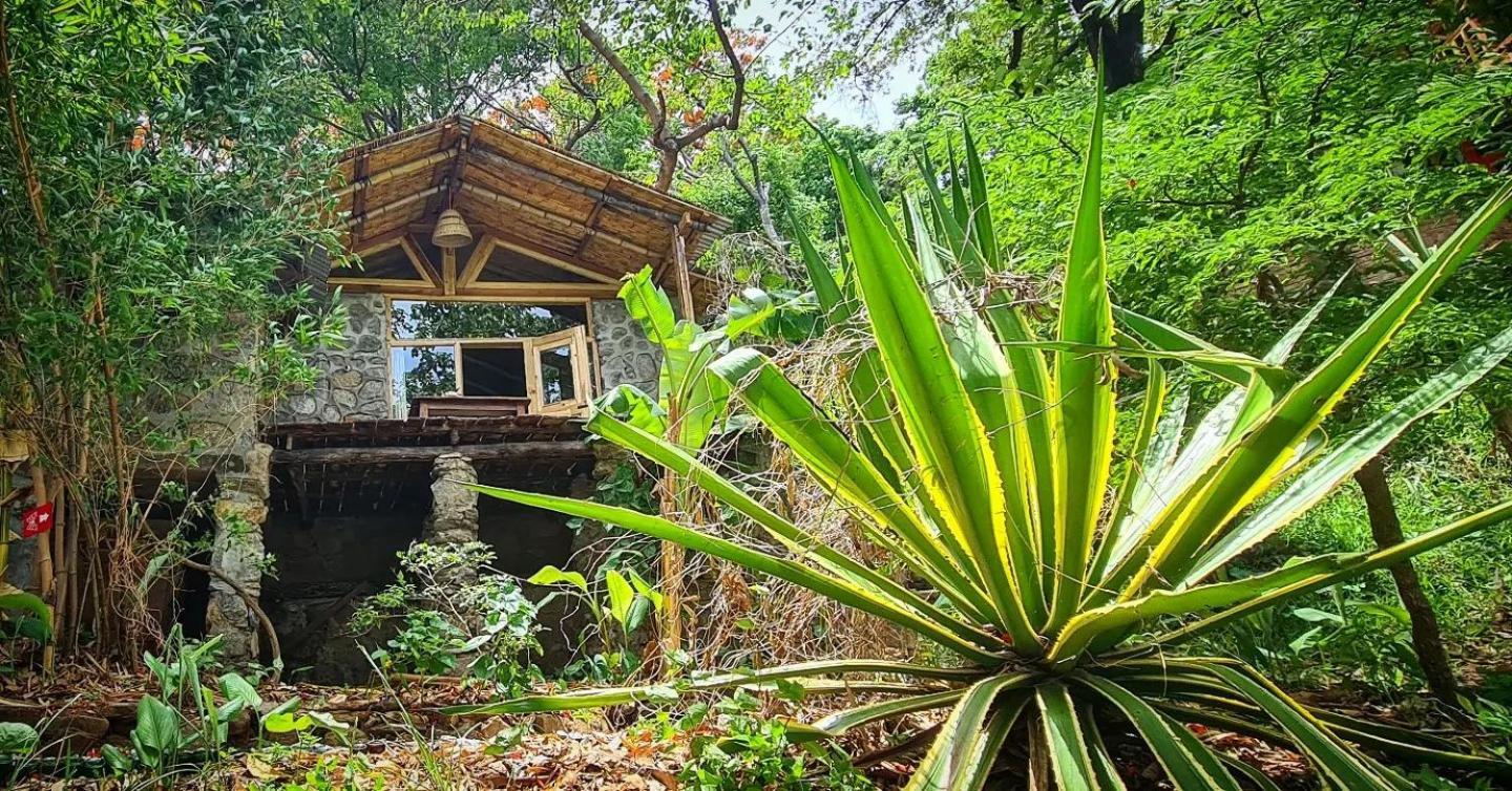 Butterfly Space- A Non-Profit Eco-Lodge Nkhata Bay Εξωτερικό φωτογραφία