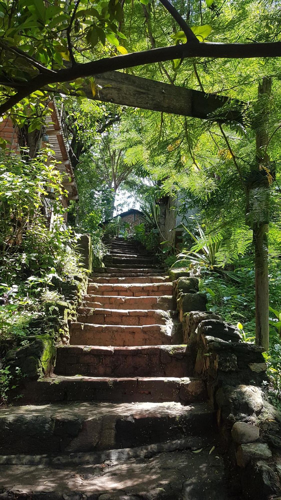 Butterfly Space- A Non-Profit Eco-Lodge Nkhata Bay Εξωτερικό φωτογραφία