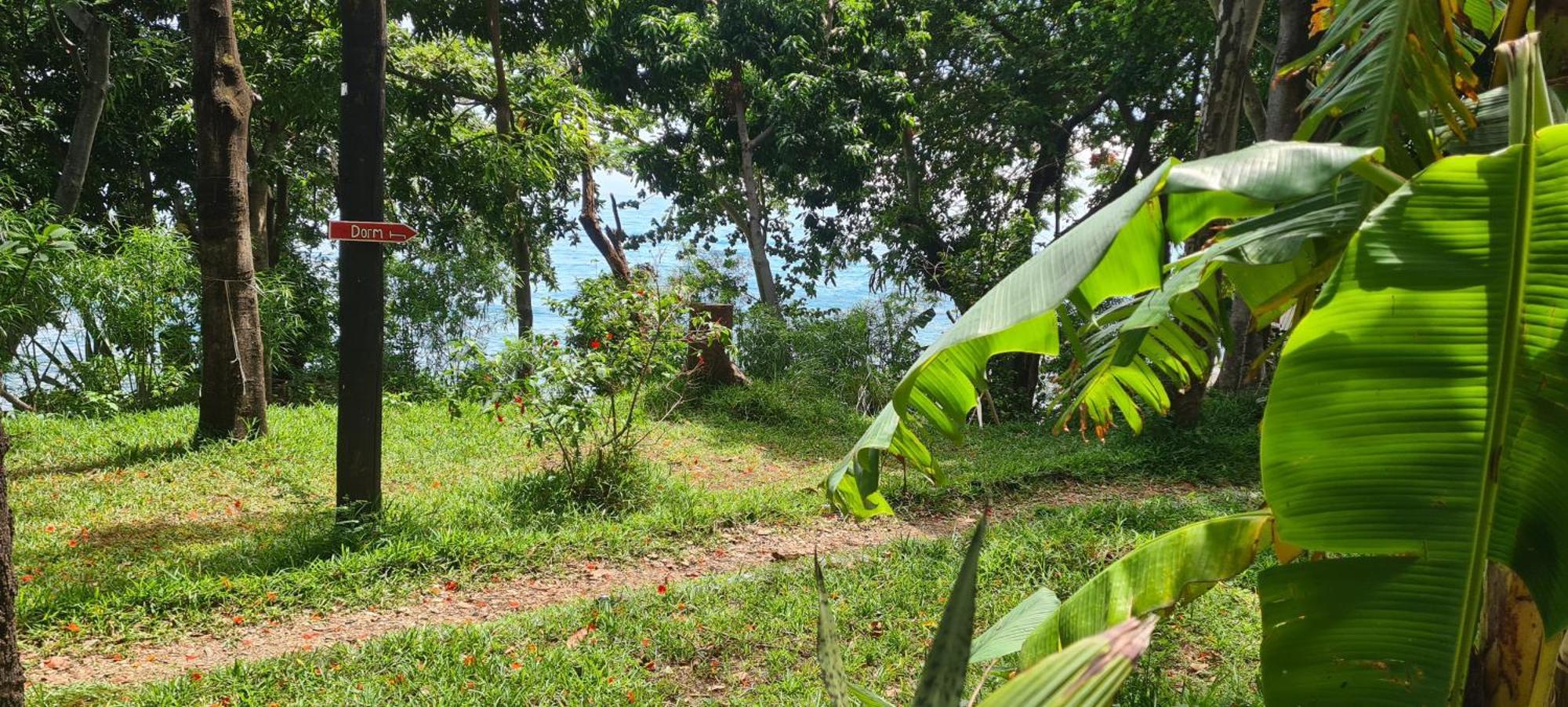 Butterfly Space- A Non-Profit Eco-Lodge Nkhata Bay Εξωτερικό φωτογραφία