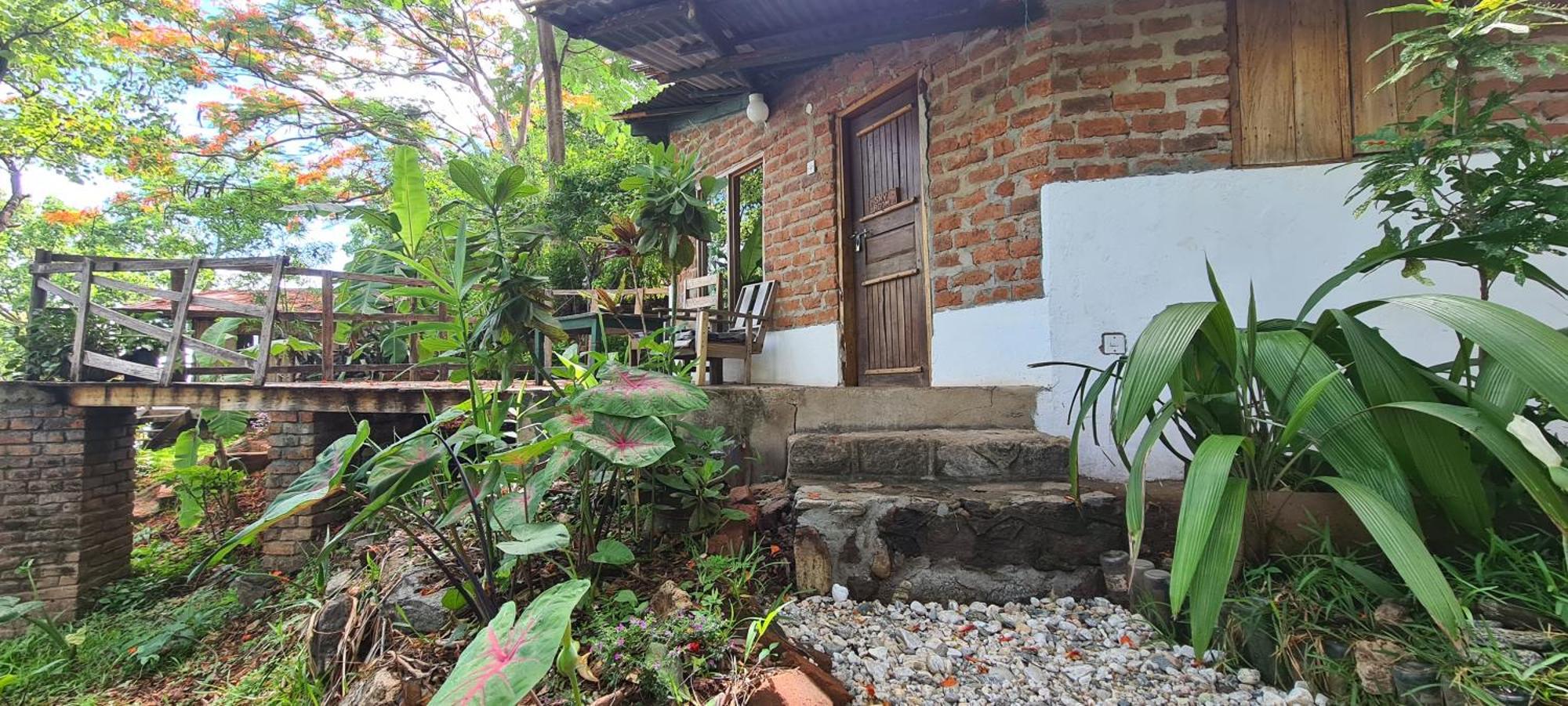Butterfly Space- A Non-Profit Eco-Lodge Nkhata Bay Εξωτερικό φωτογραφία